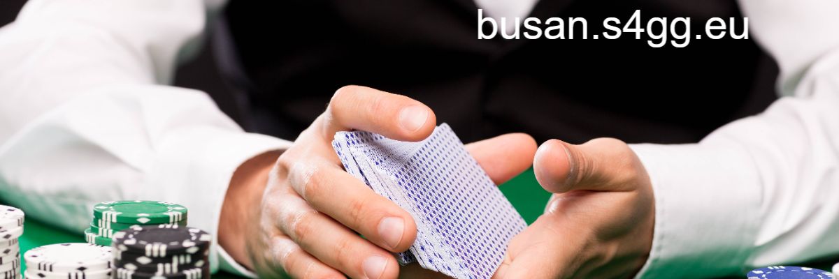 busan.s4gg.eu